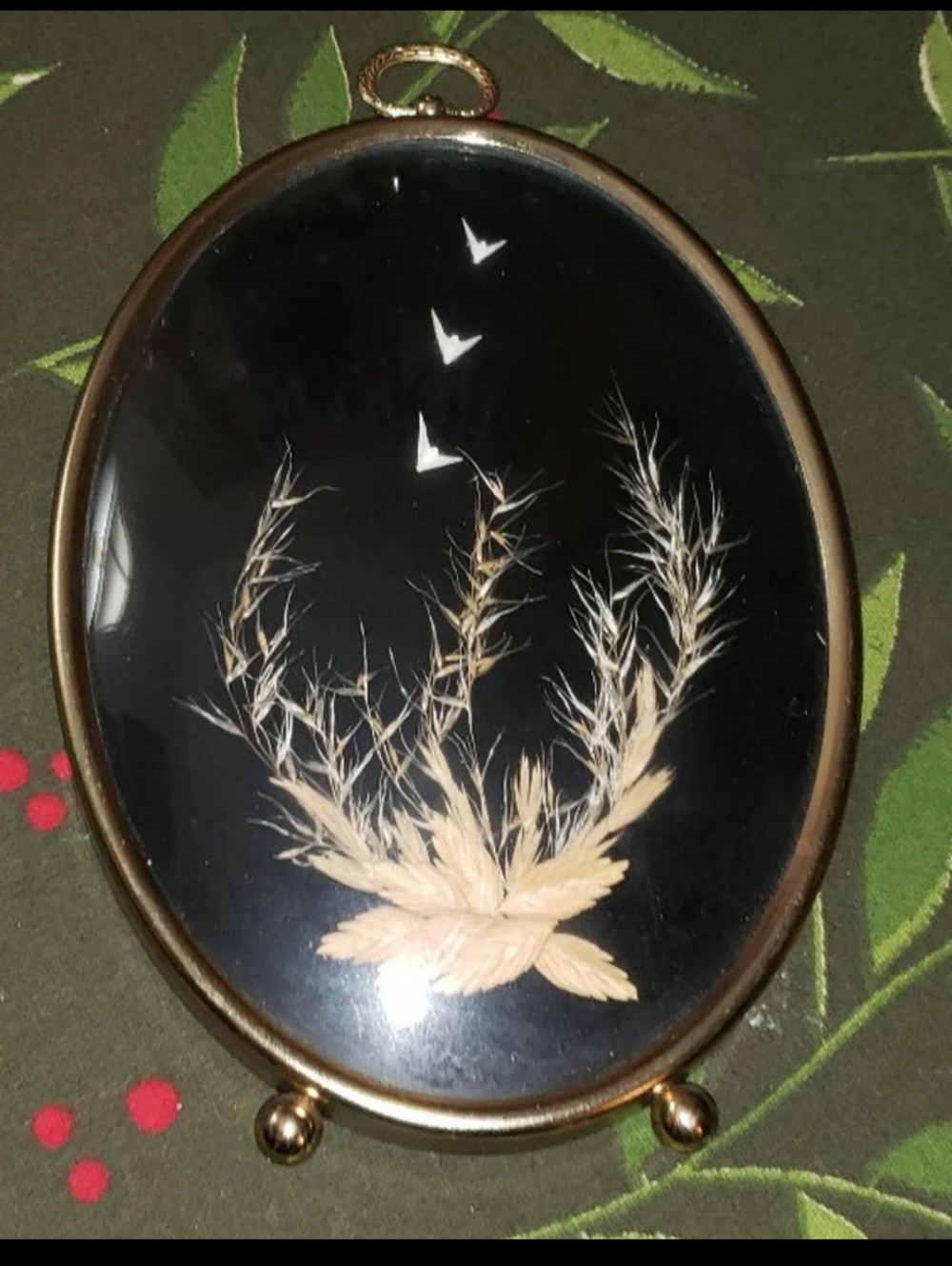 Vintage Sand Dollar Doves Convex Glass Art